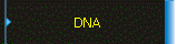 Diagnostic Neurology Application